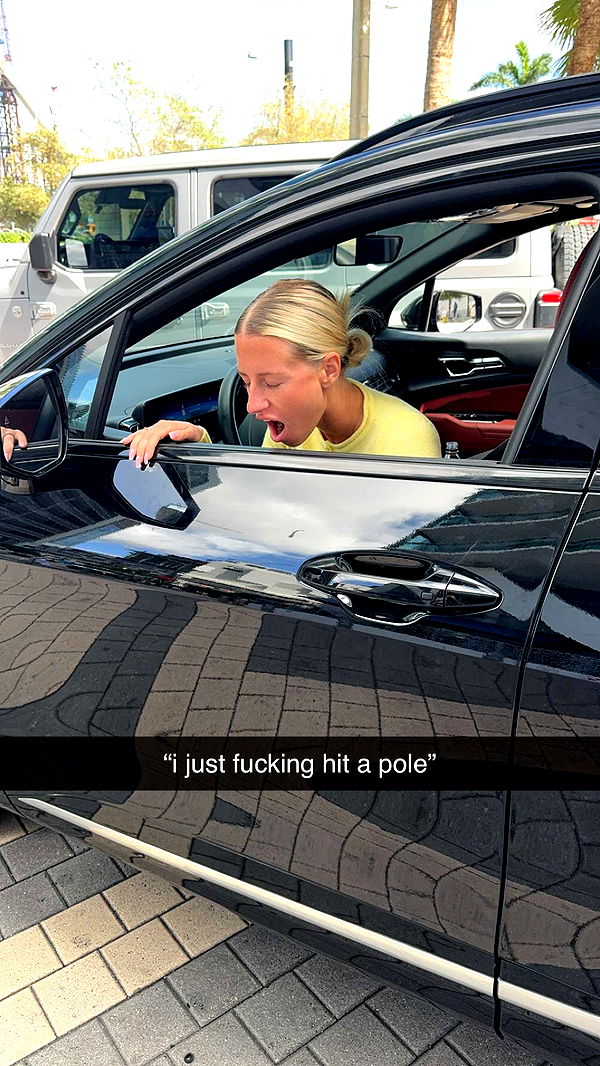 bellarenaldii image ~ Altpins