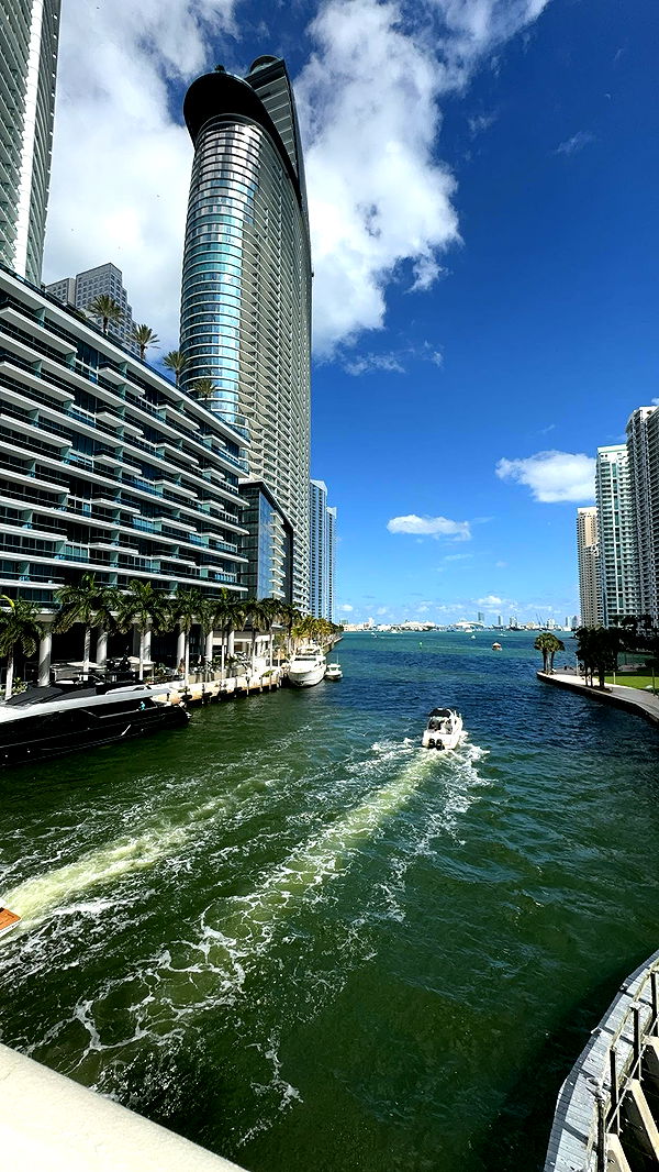 bellarenaldii image ~ Altpins