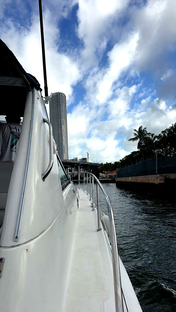 bellarenaldii image ~ Altpins