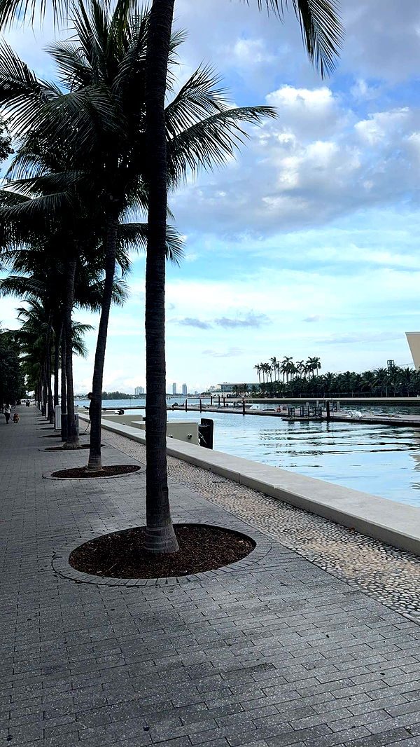 bellarenaldii image ~ Altpins