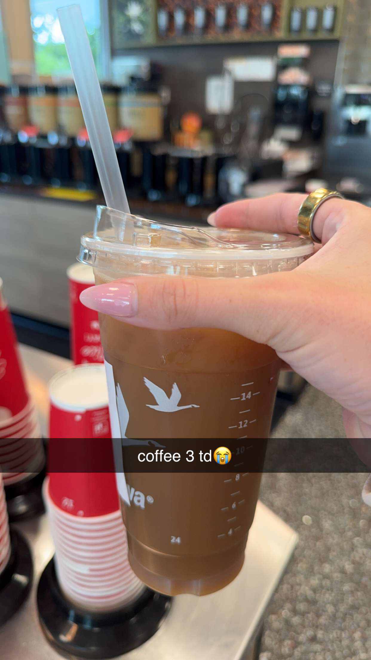 bellarenaldii snapchat image archive image