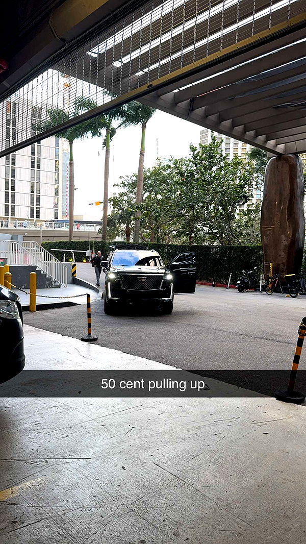 bellarenaldii image ~ Altpins