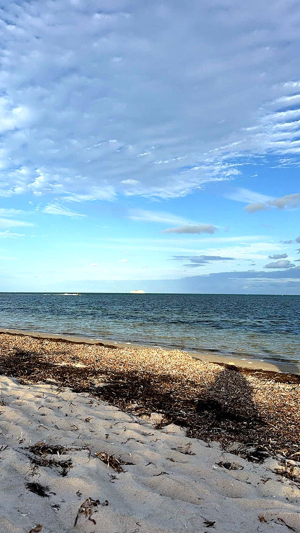 bellarenaldii image ~ Altpins