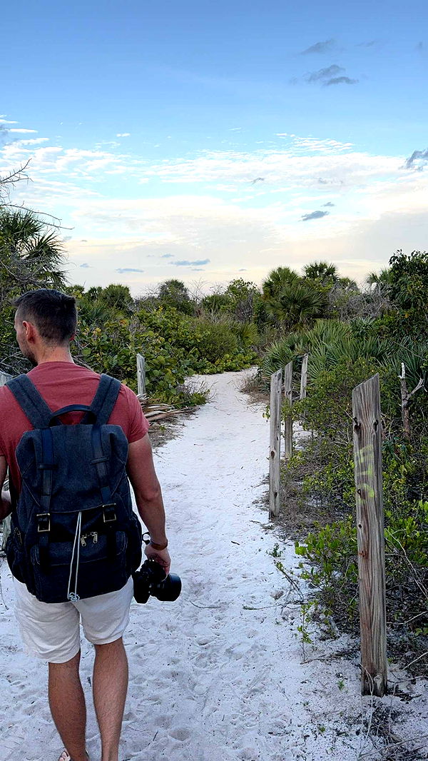 bellarenaldii image ~ Altpins