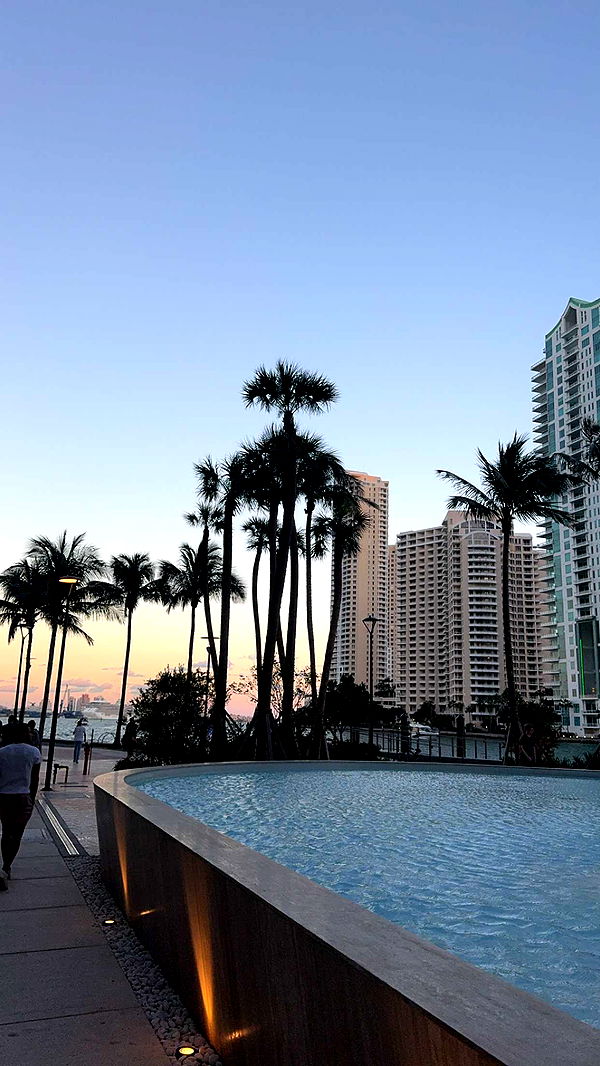 bellarenaldii image ~ Altpins