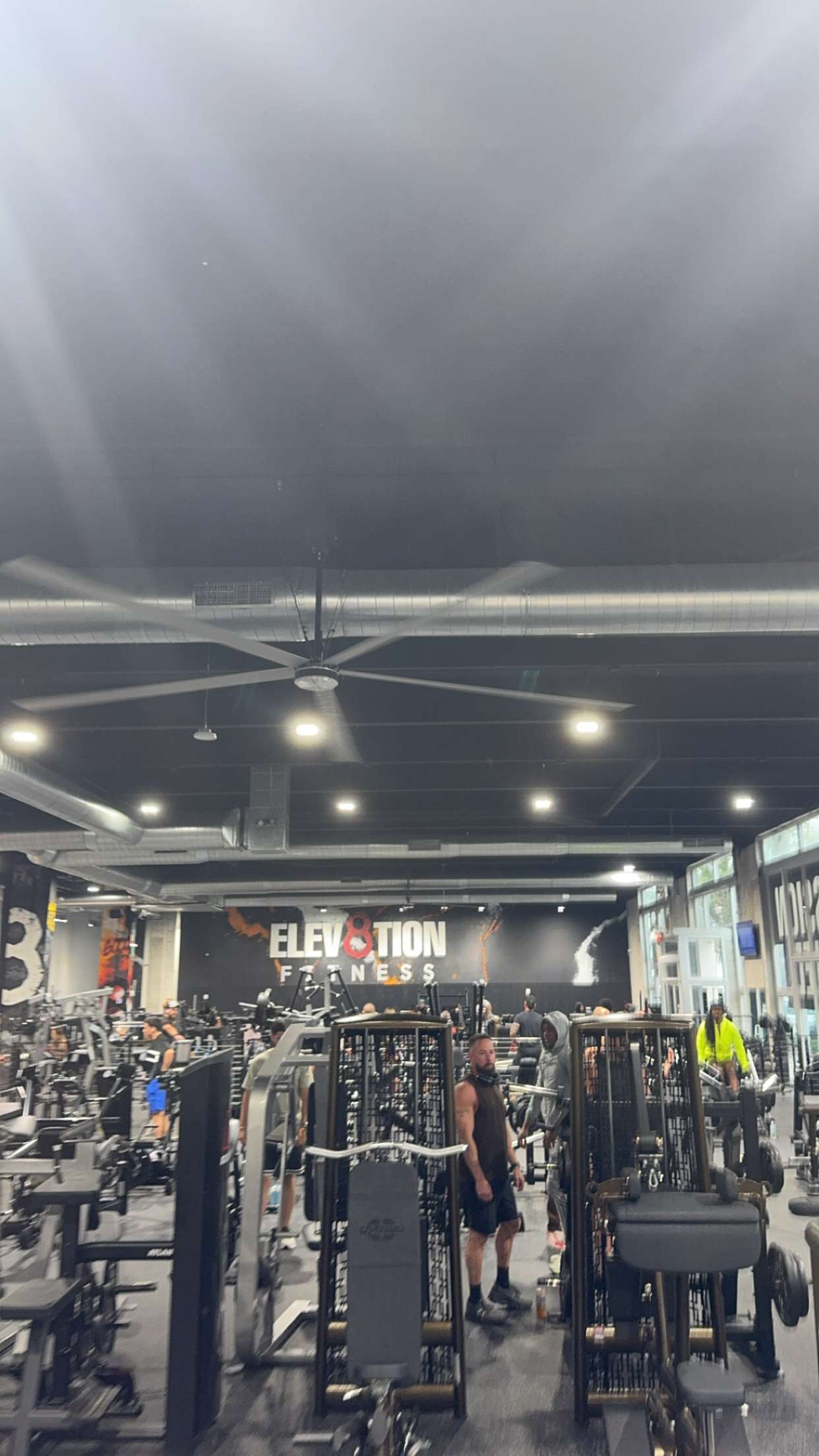 bellarenaldii snapchat image archive image