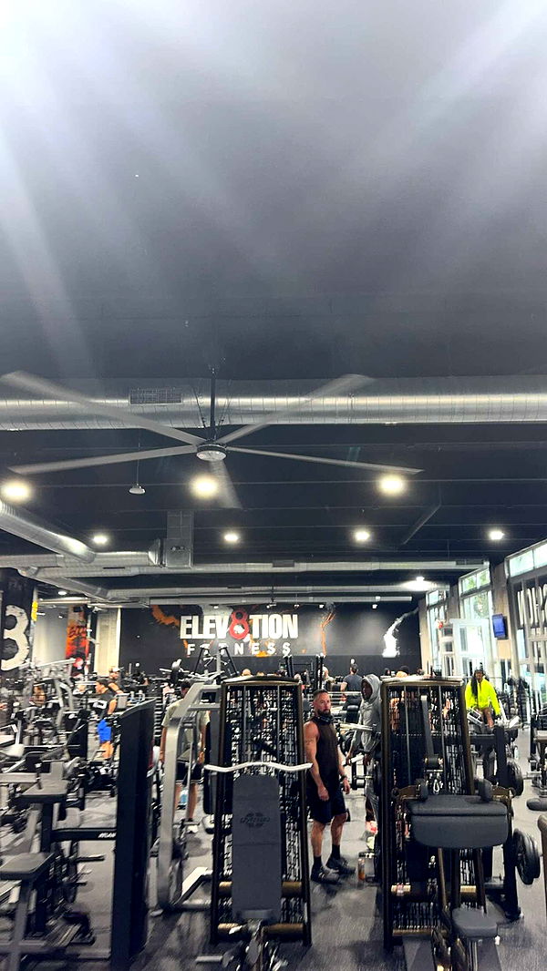 bellarenaldii image ~ Altpins