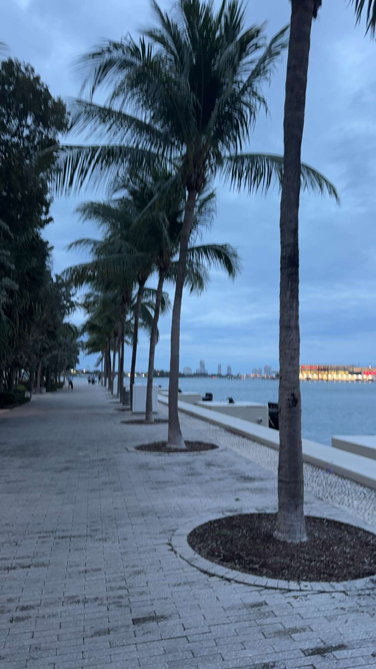 bellarenaldii snapchat image archive image