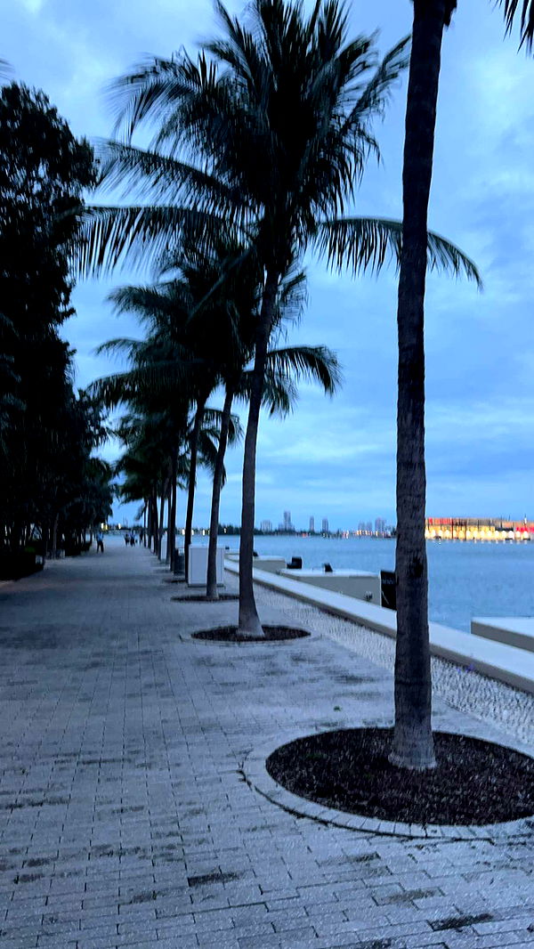 bellarenaldii image ~ Altpins