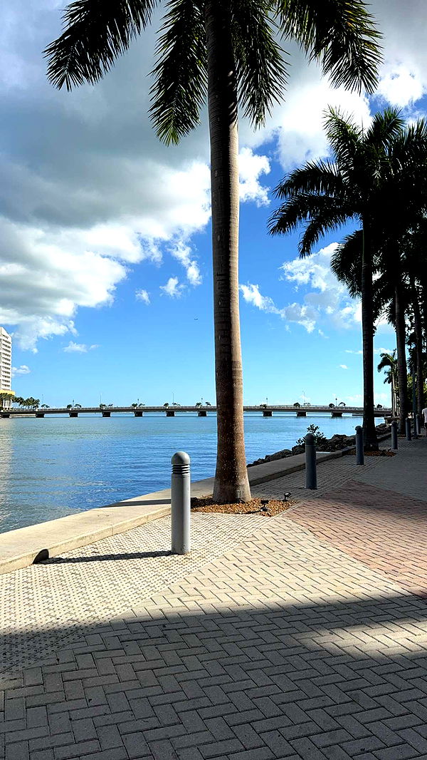 bellarenaldii image ~ Altpins