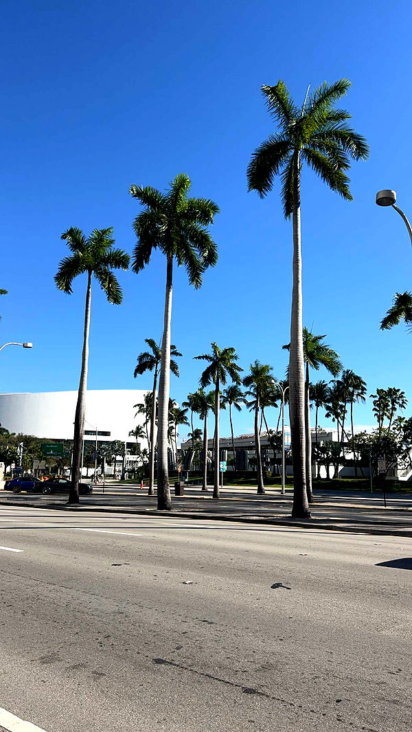 bellarenaldii image ~ Altpins