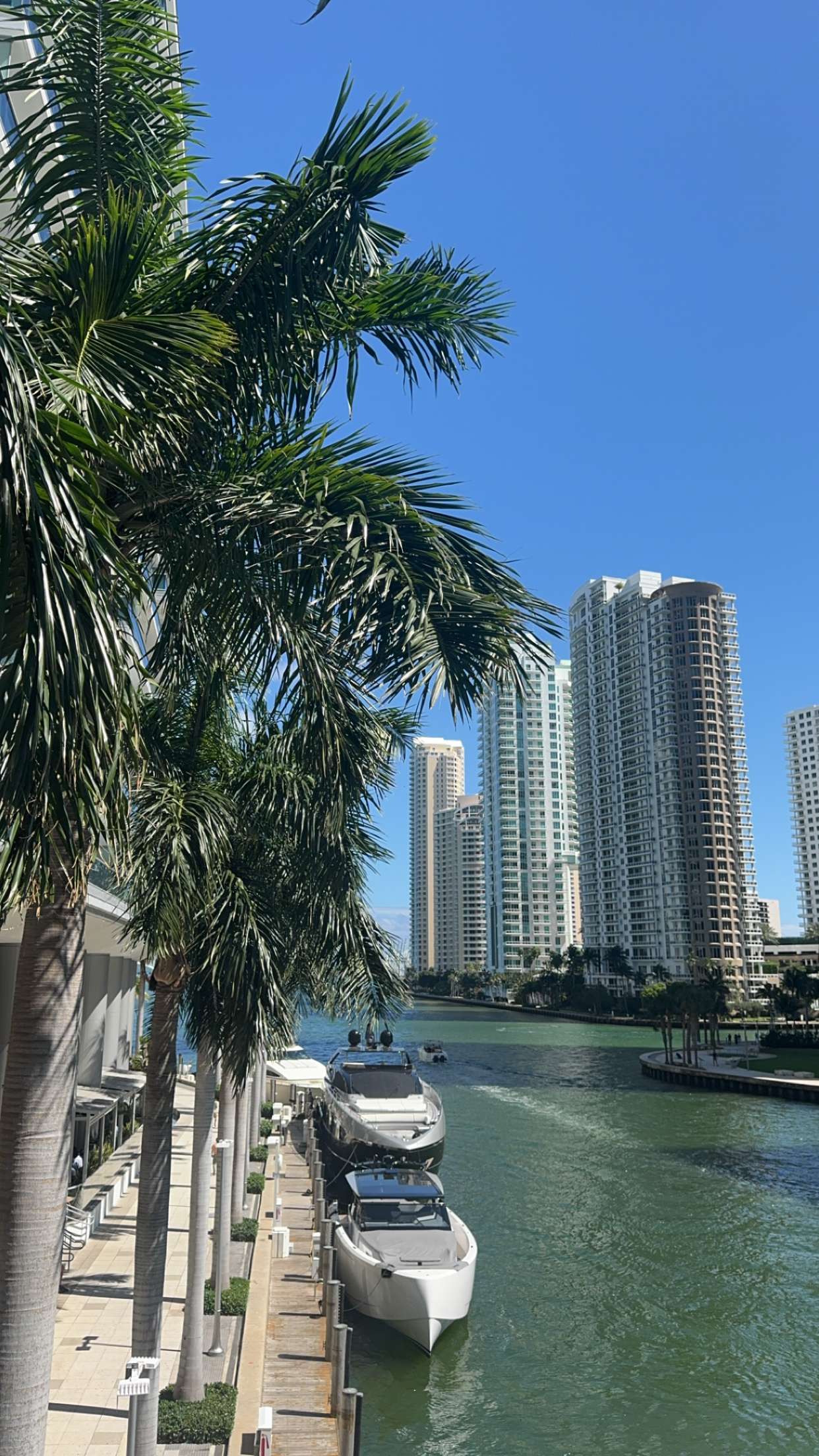 bellarenaldii snapchat image archive image