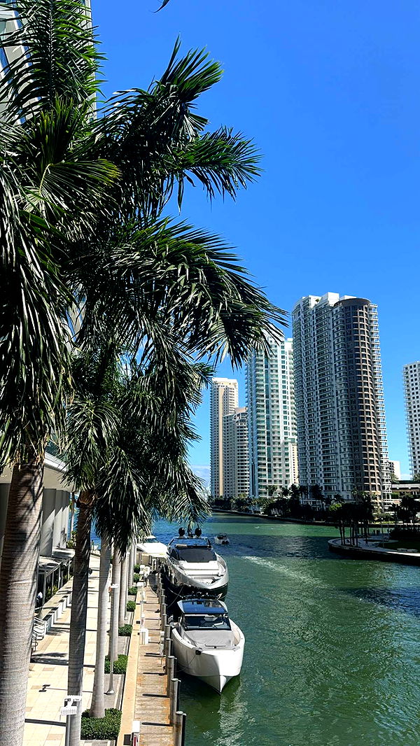 bellarenaldii image ~ Altpins