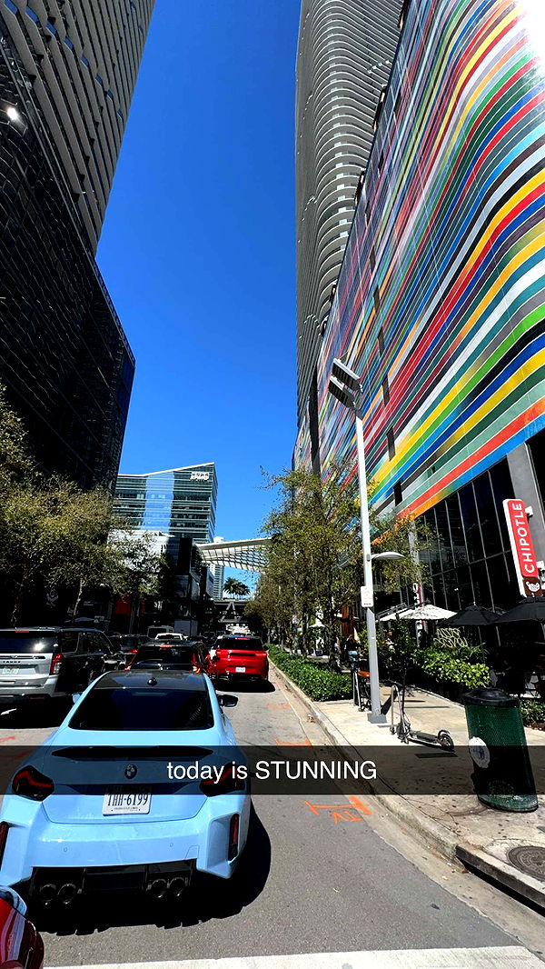 bellarenaldii image ~ Altpins