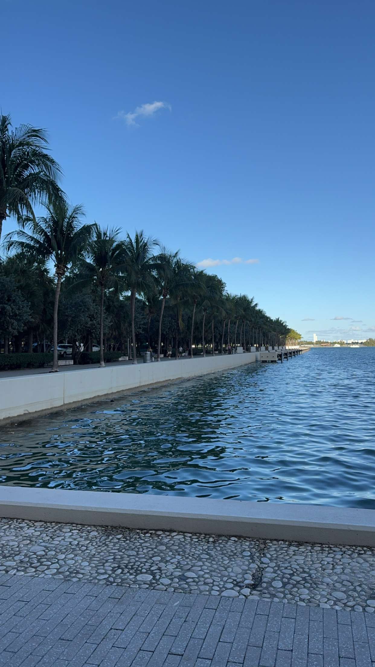 bellarenaldii snapchat image archive image