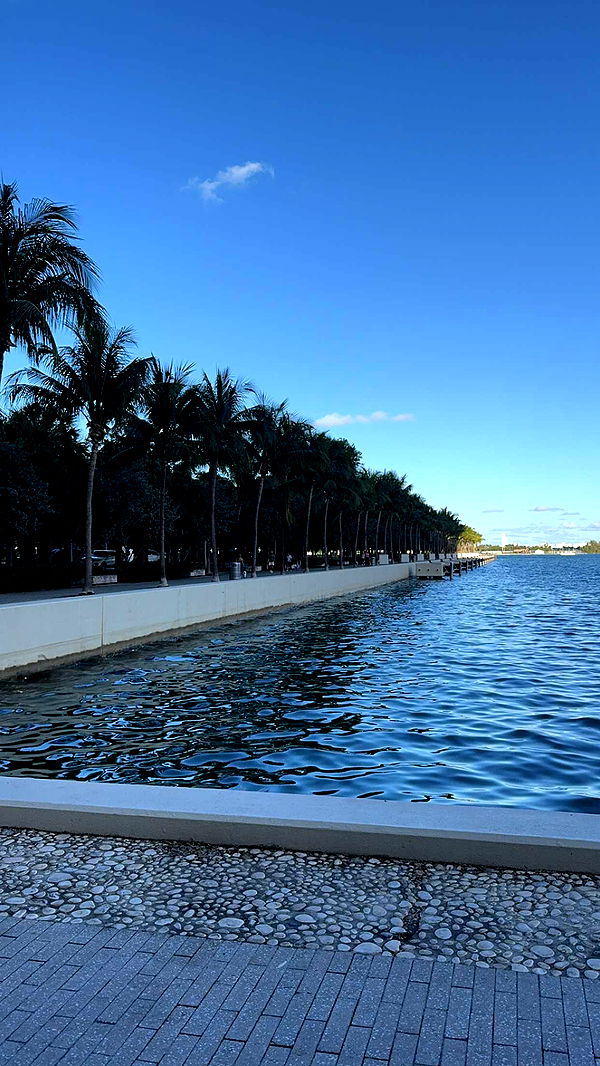 bellarenaldii image ~ Altpins