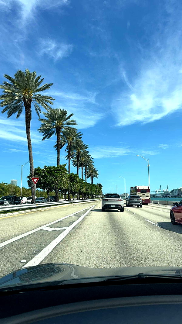 bellarenaldii image ~ Altpins