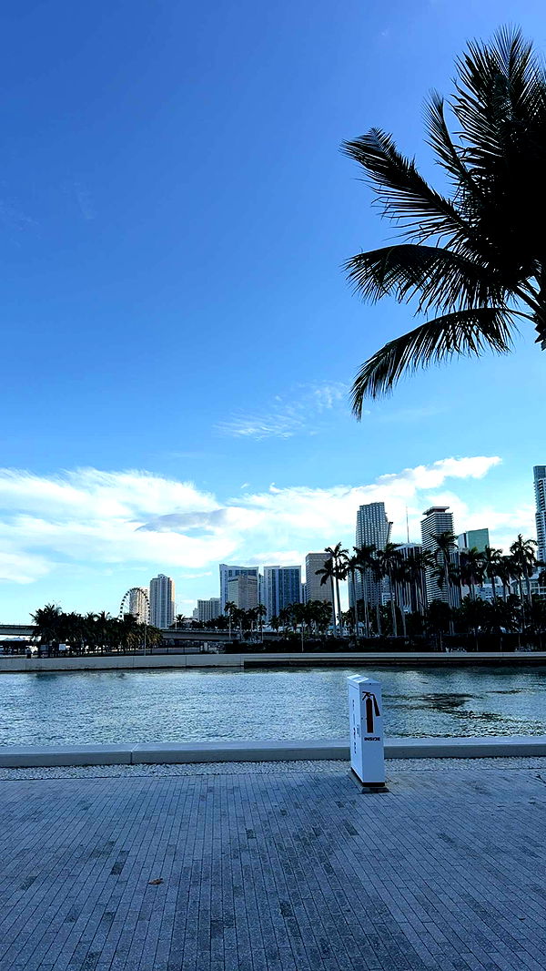 bellarenaldii image ~ Altpins