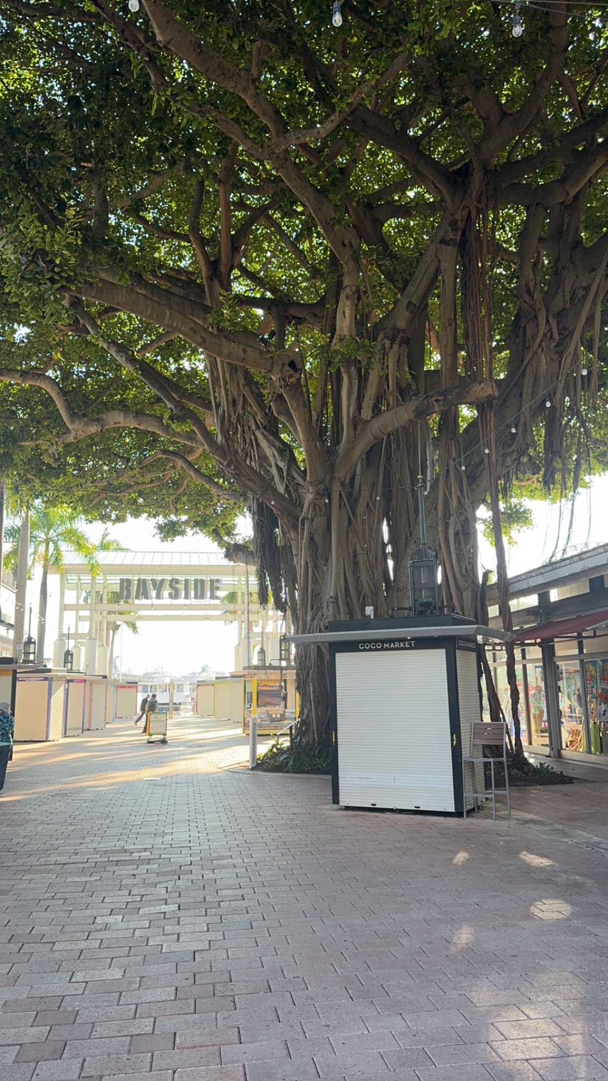 bellarenaldii snapchat image archive image