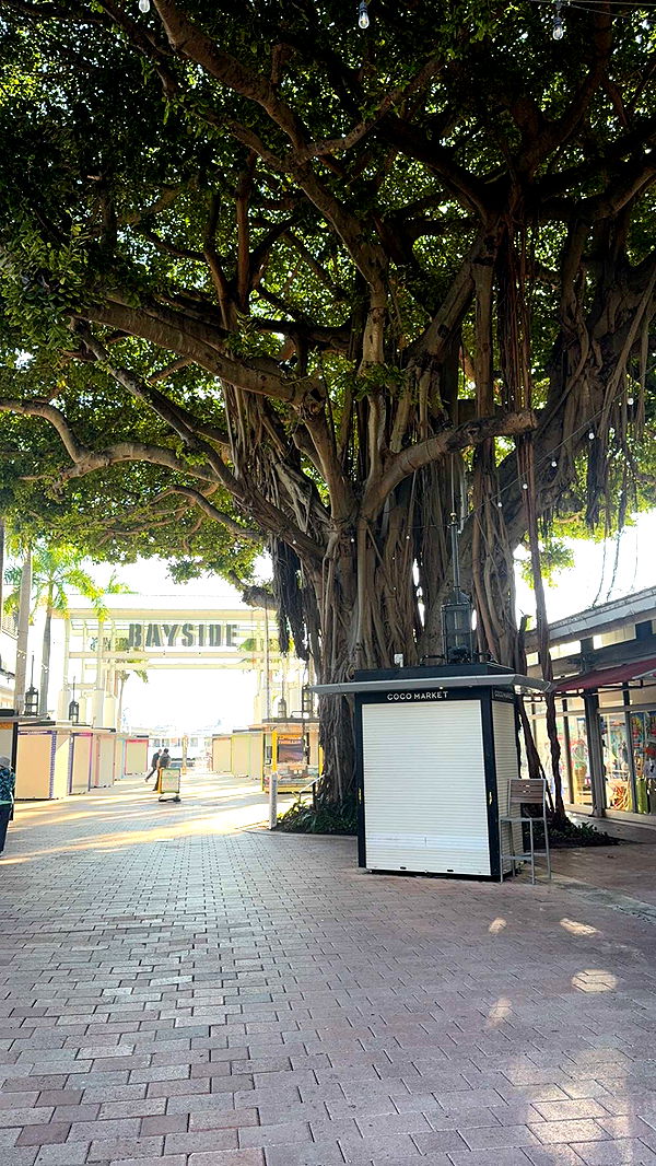 bellarenaldii image ~ Altpins