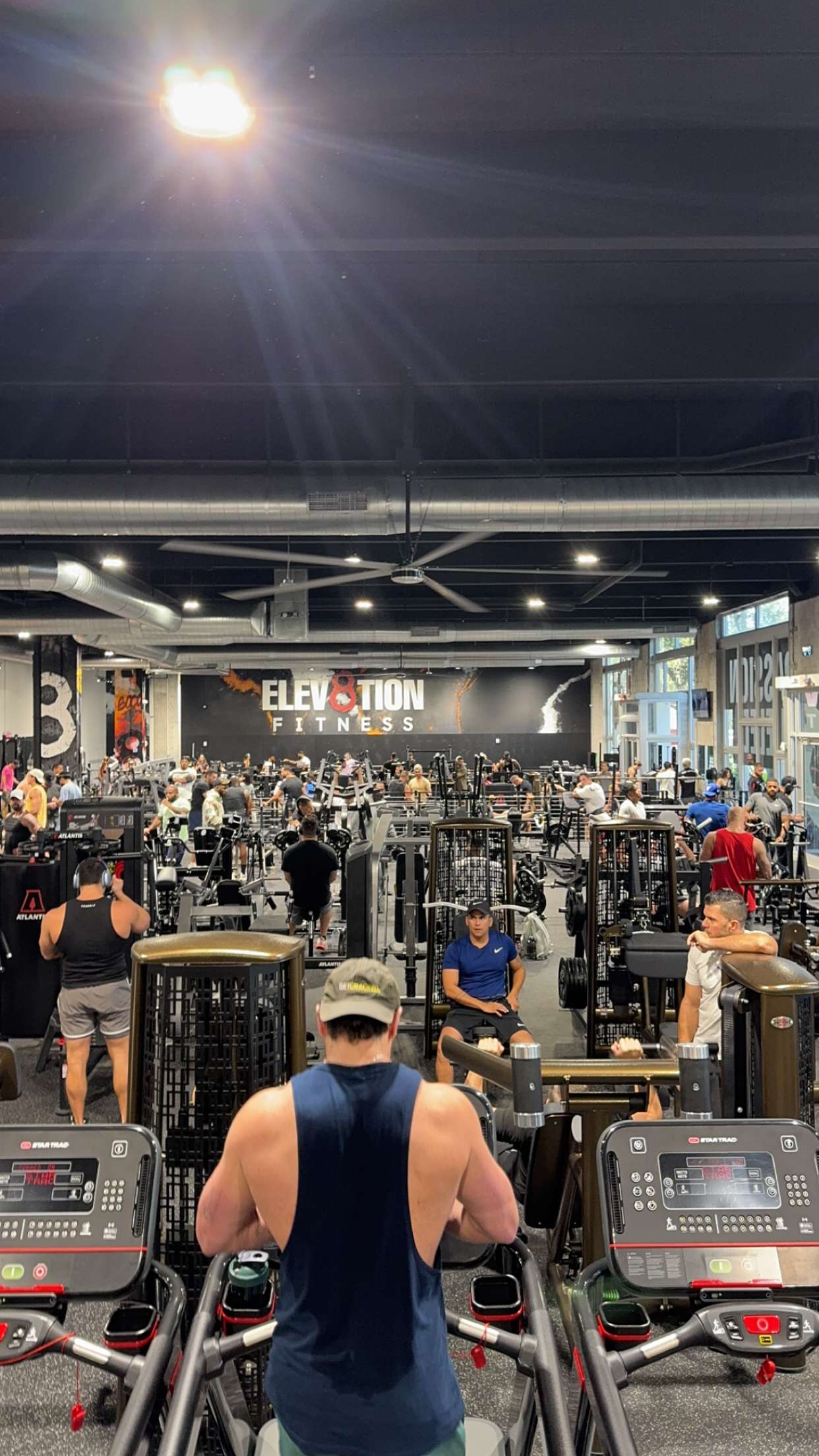 bellarenaldii snapchat image archive image