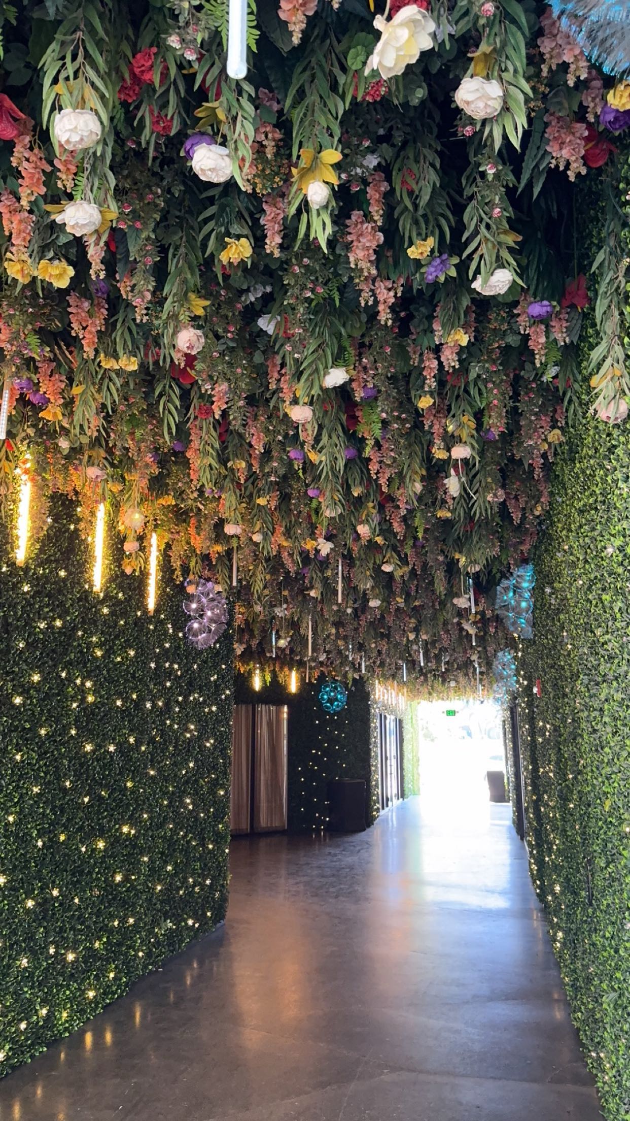 bellarenaldii snapchat image archive image