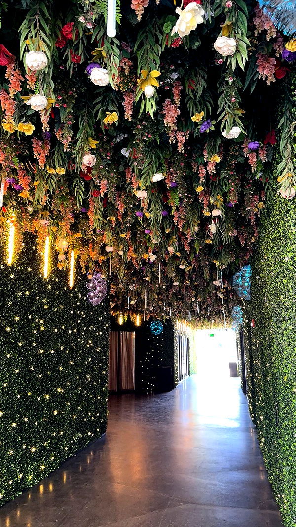 bellarenaldii image ~ Altpins