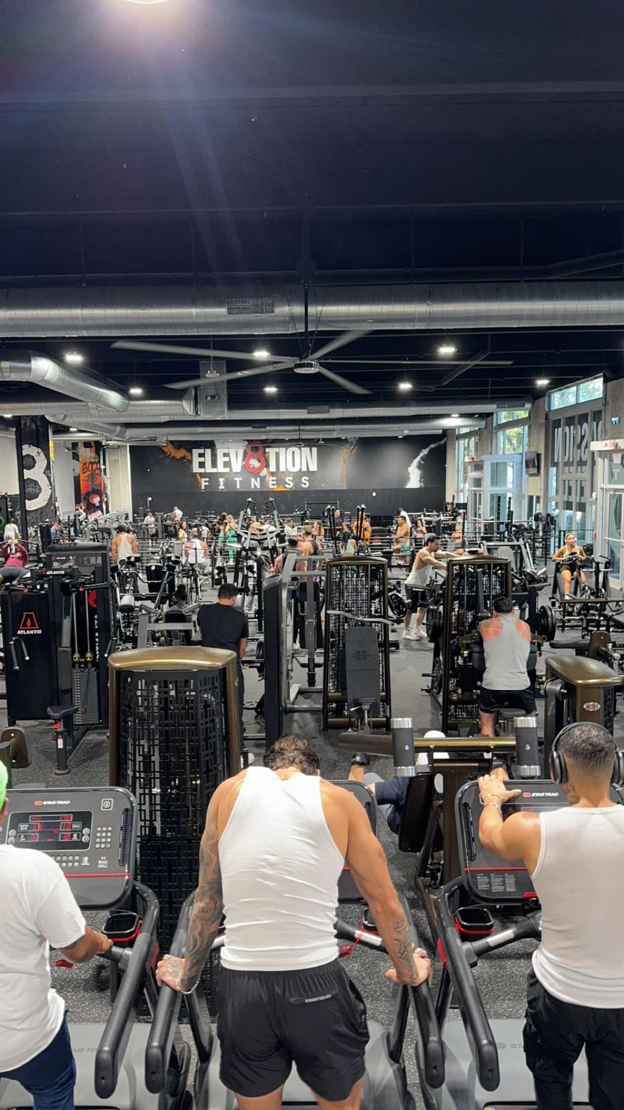 bellarenaldii snapchat image archive image