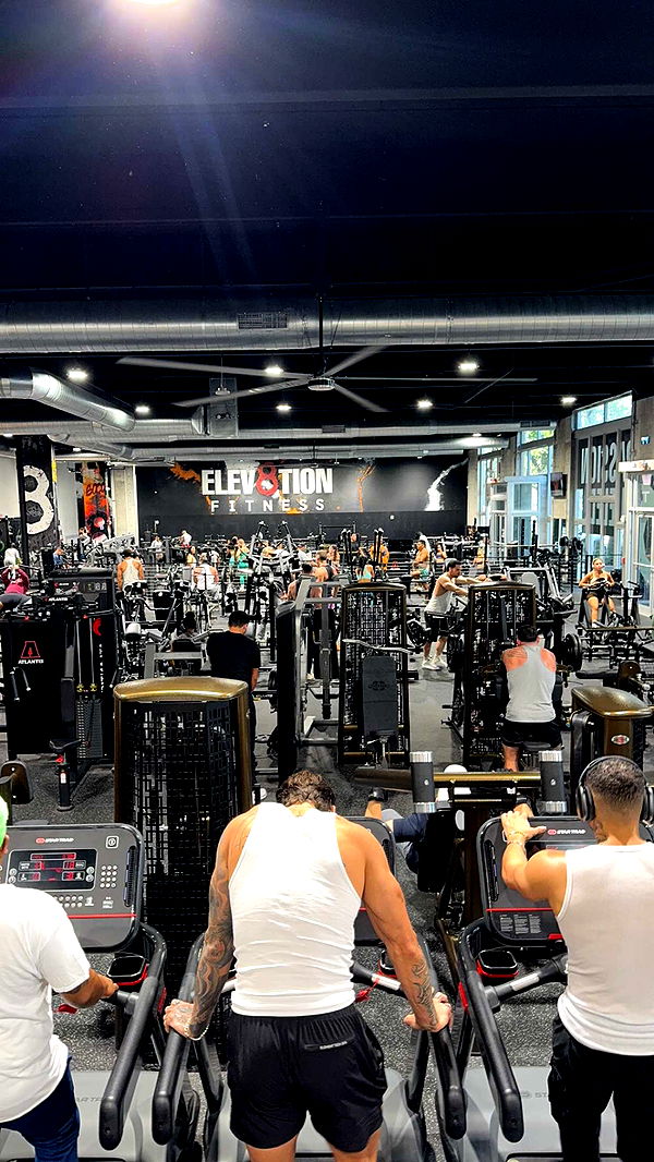 bellarenaldii image ~ Altpins