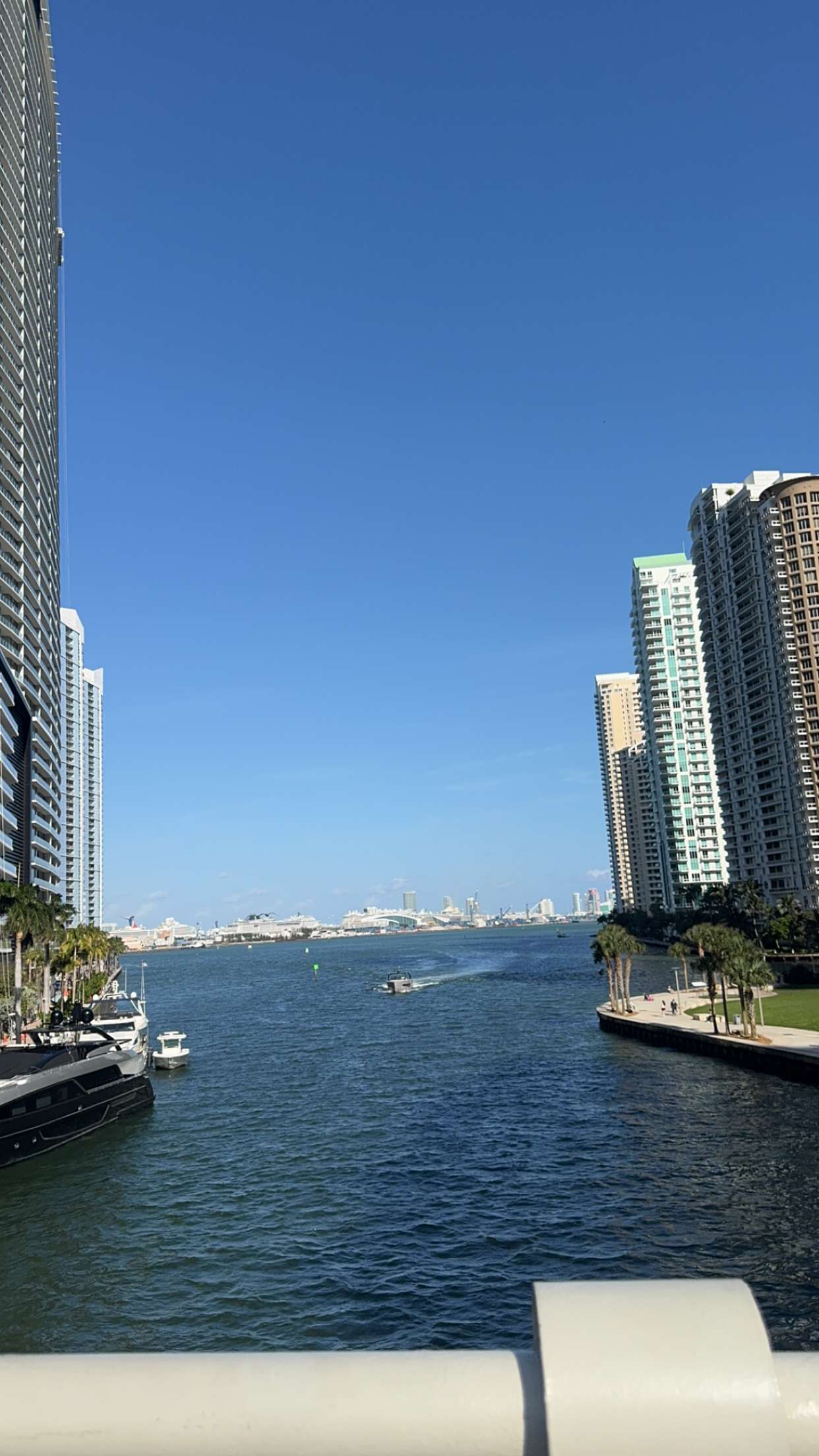 bellarenaldii snapchat image archive image