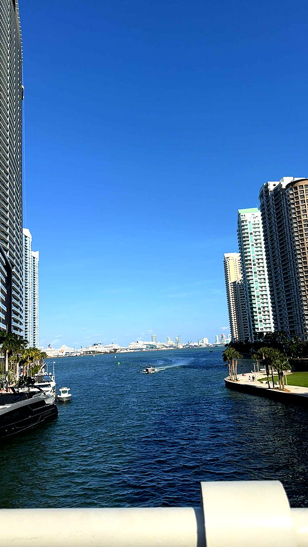 bellarenaldii image ~ Altpins