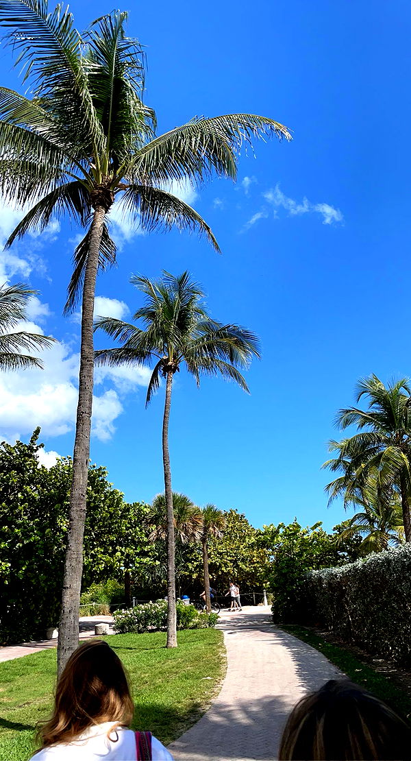 bellarenaldii image ~ Altpins