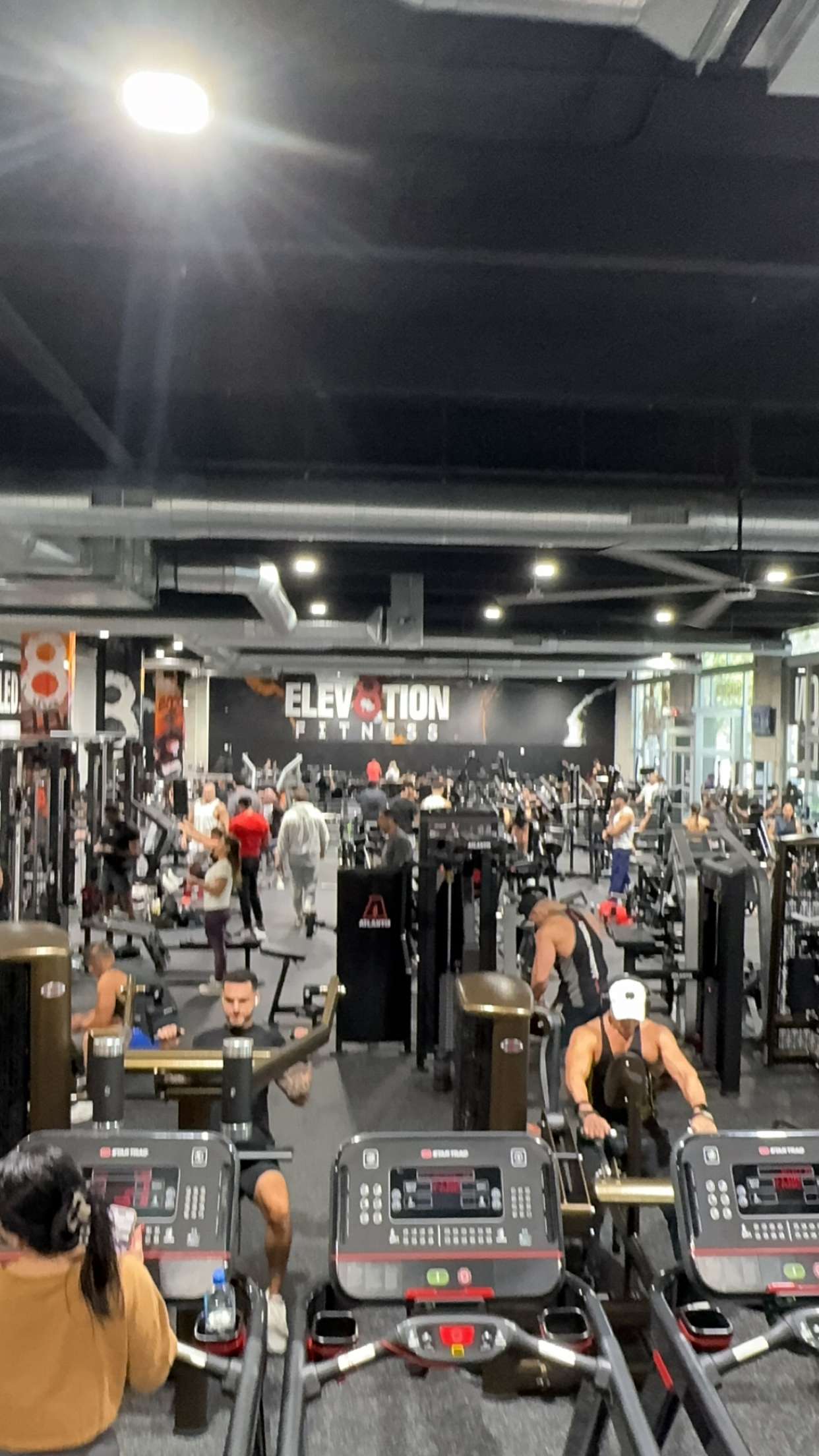 bellarenaldii snapchat image archive image