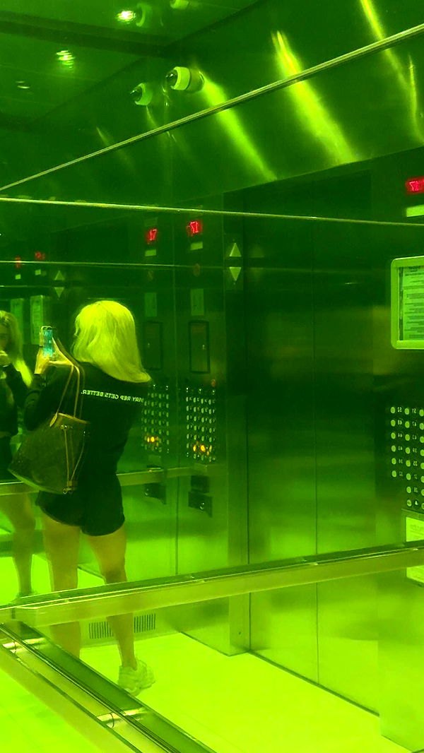 bellarenaldii image ~ Altpins