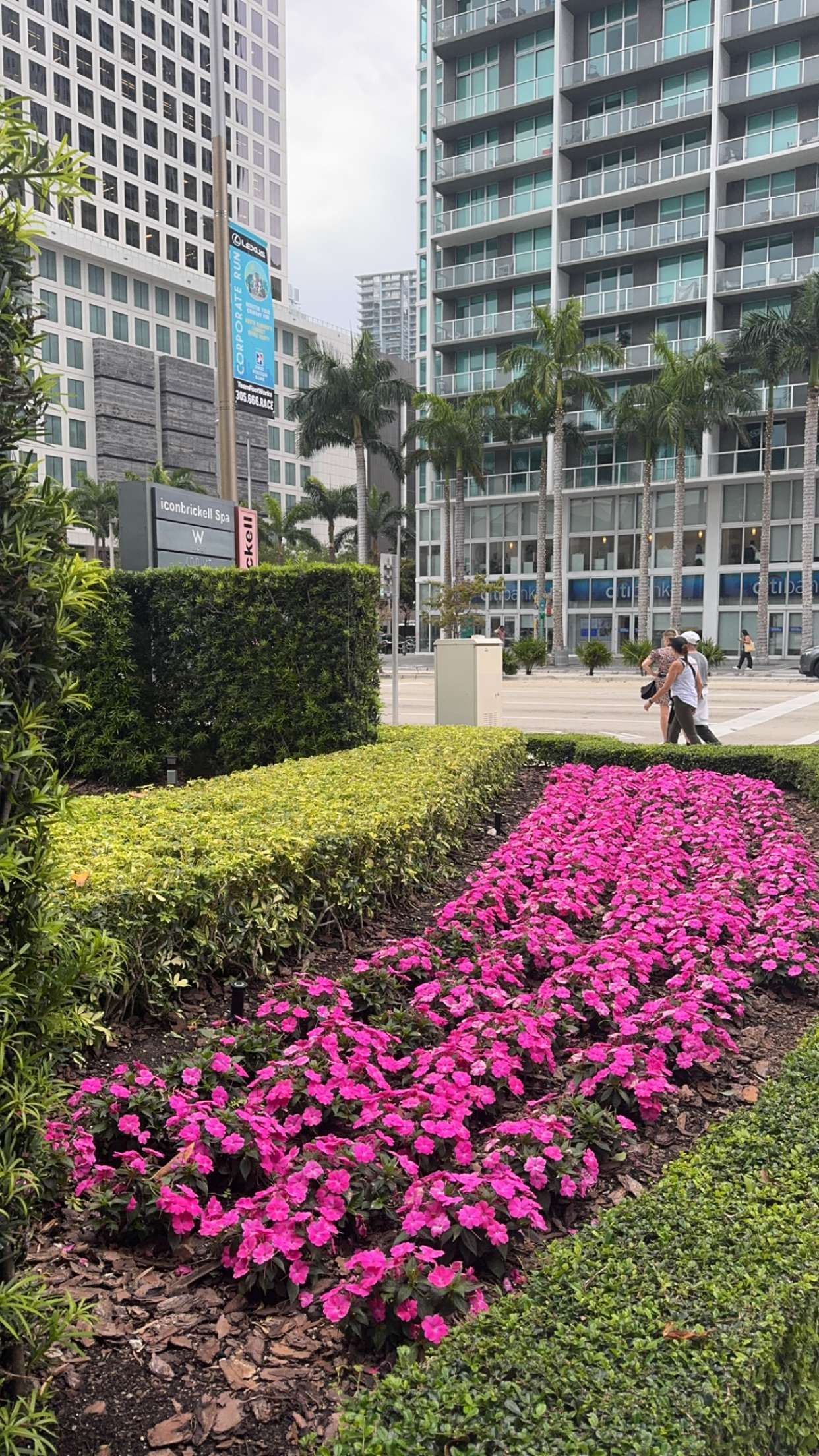 bellarenaldii snapchat image archive image