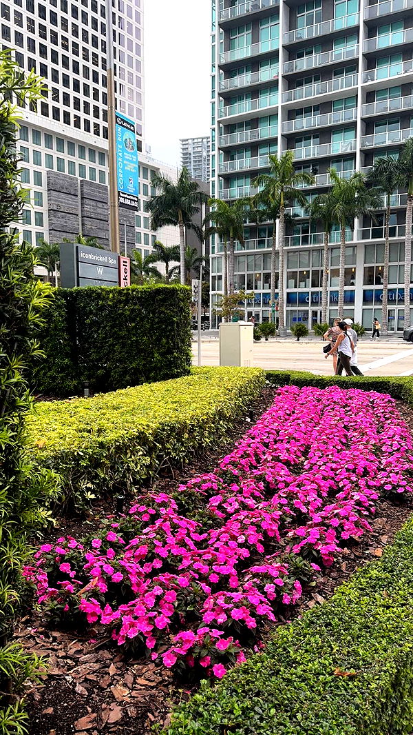 bellarenaldii image ~ Altpins