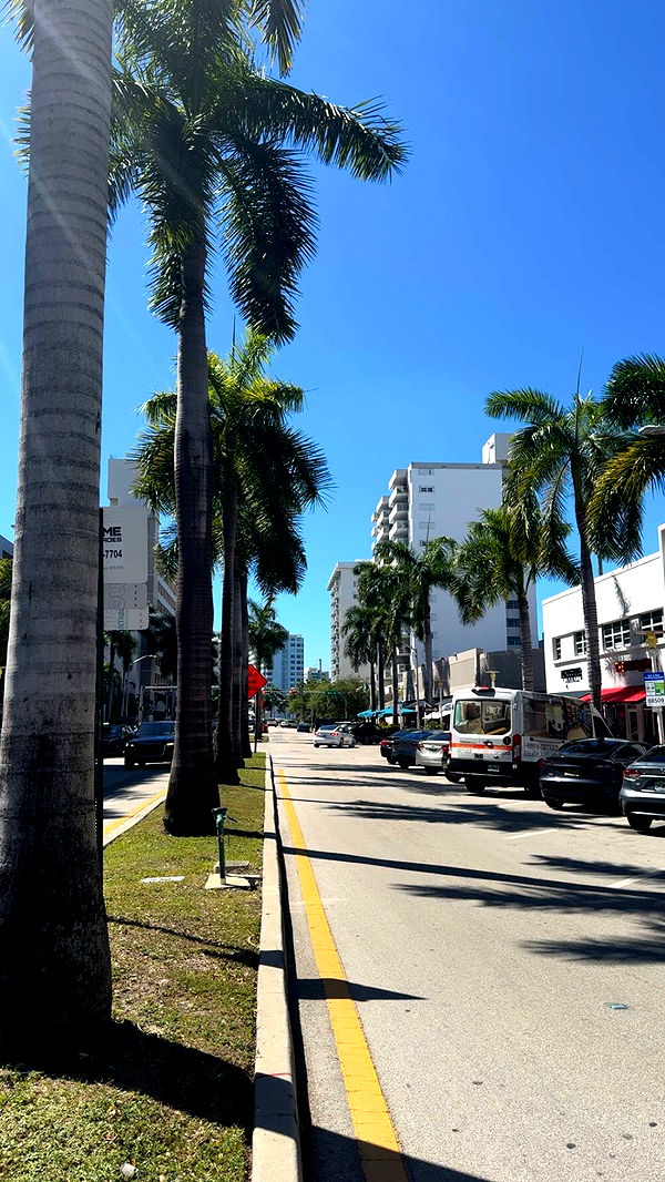 bellarenaldii image ~ Altpins