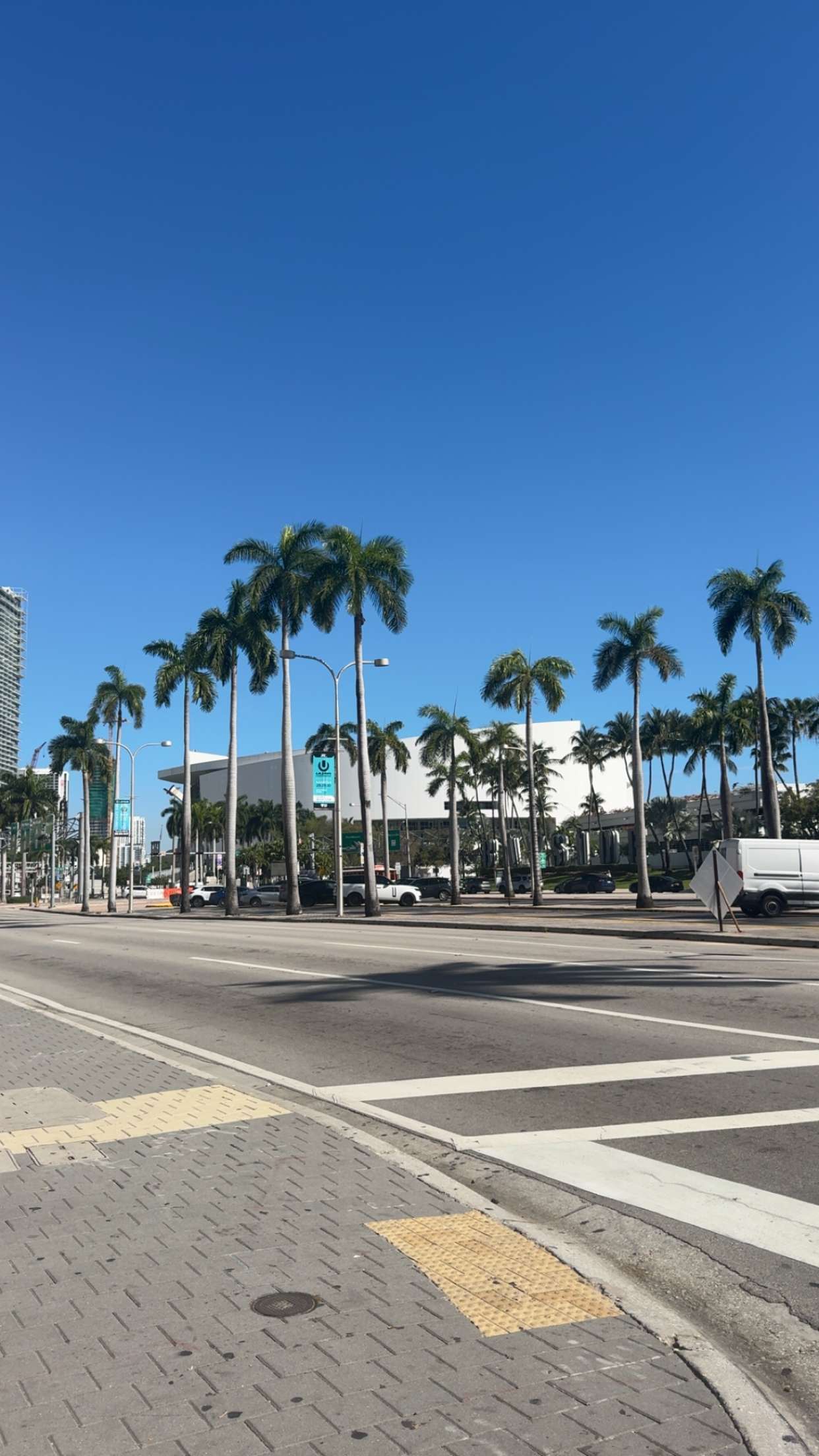 bellarenaldii snapchat image archive image