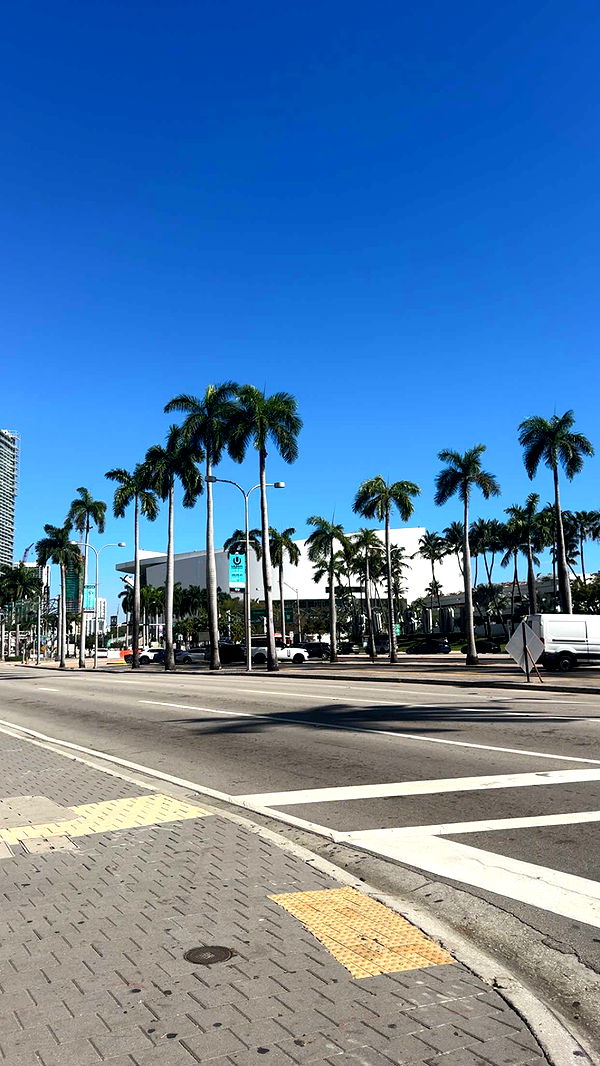 bellarenaldii image ~ Altpins