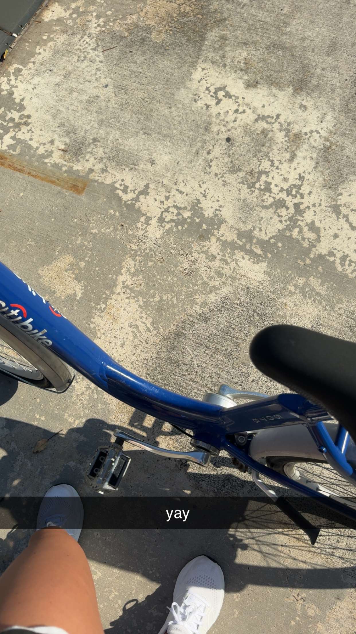 bellarenaldii snapchat image archive image