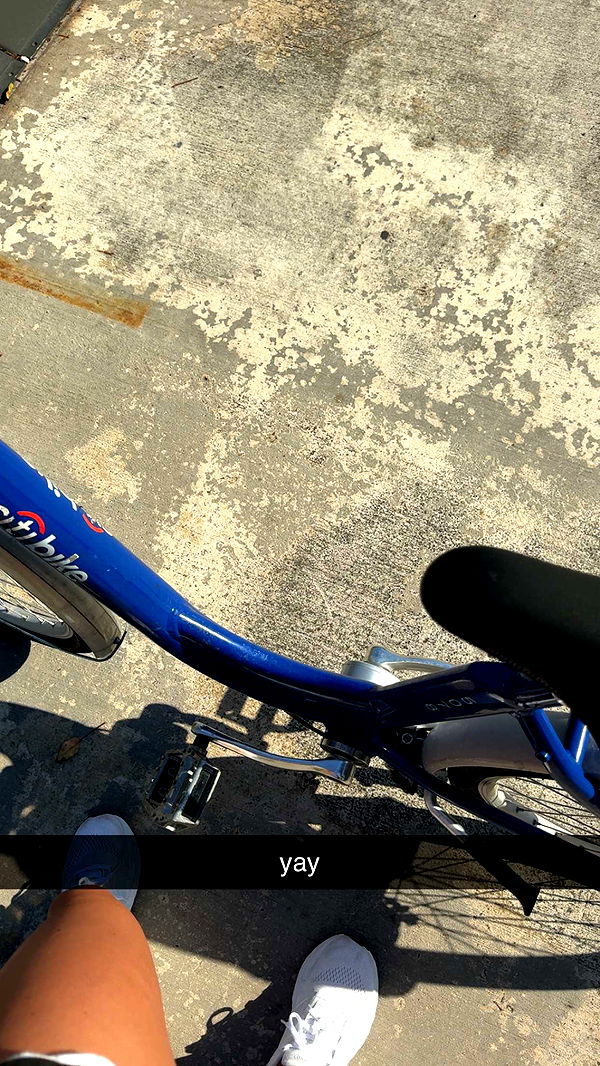 bellarenaldii image ~ Altpins