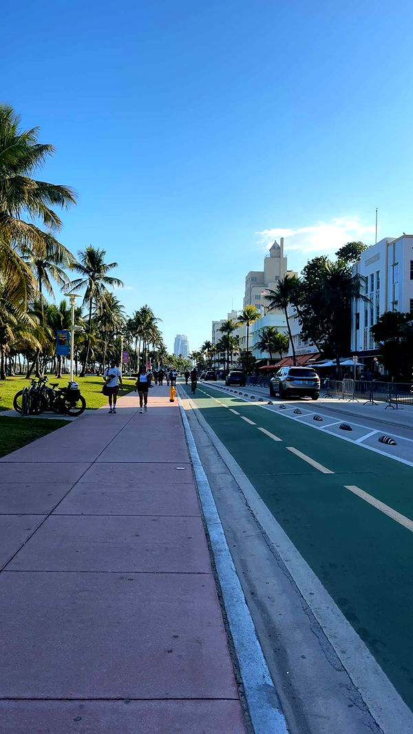 bellarenaldii image ~ Altpins