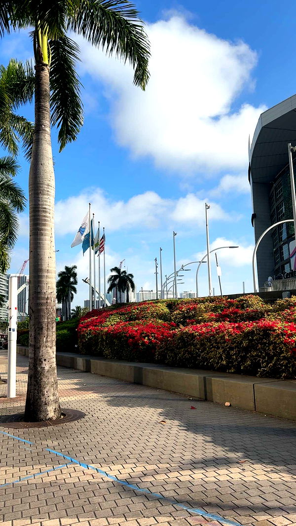 bellarenaldii image ~ Altpins