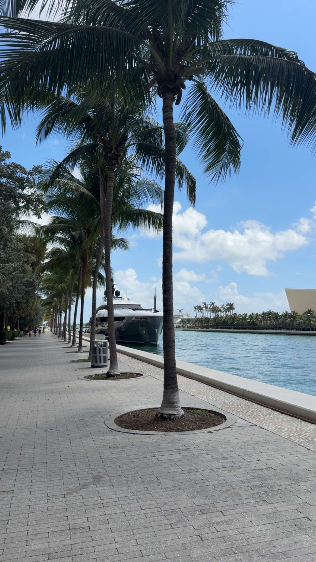 bellarenaldii snapchat image archive image