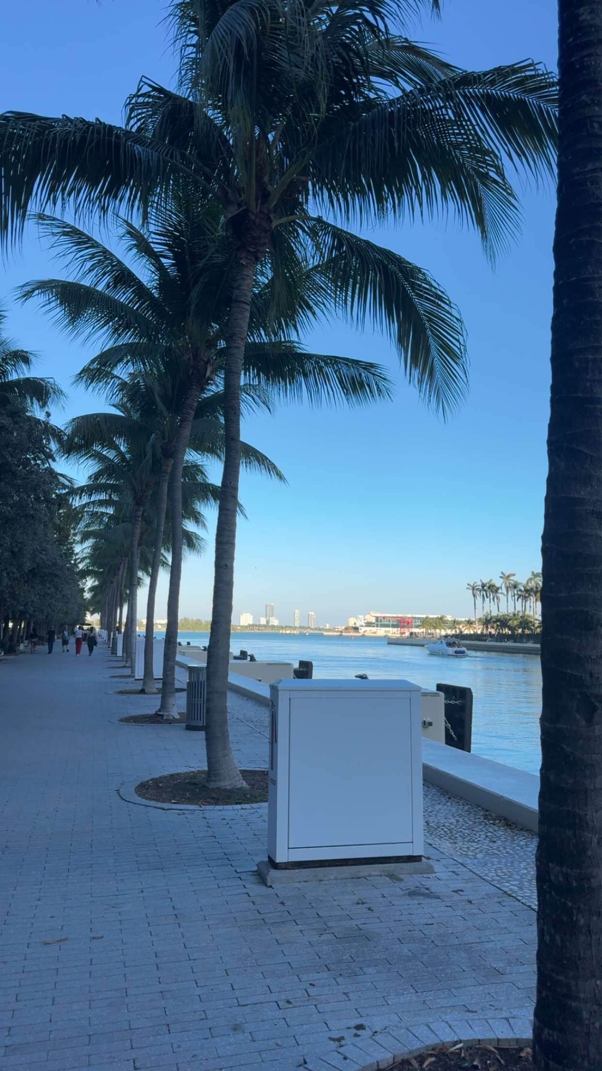 bellarenaldii snapchat image archive image