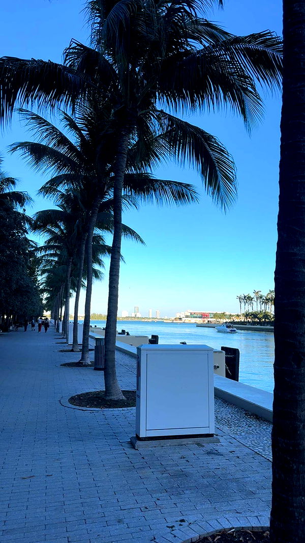 bellarenaldii image ~ Altpins