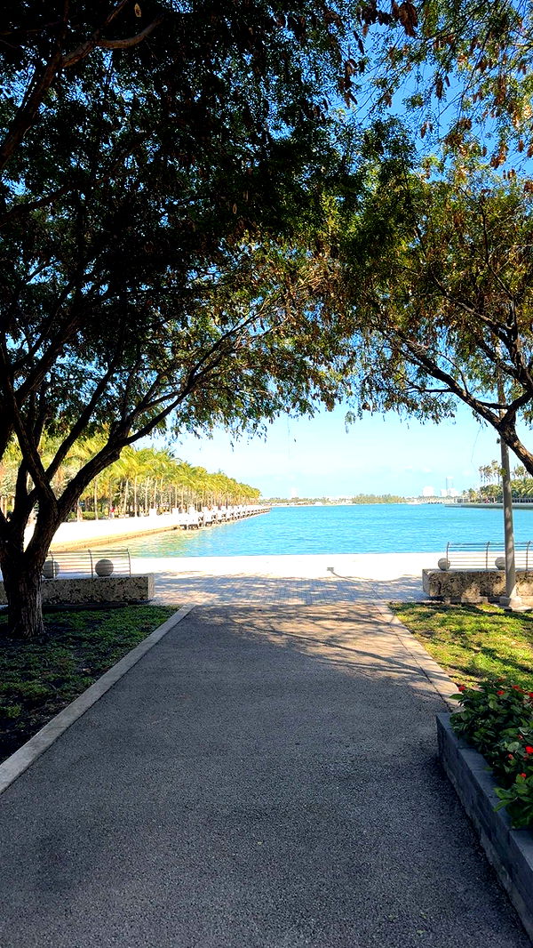 bellarenaldii image ~ Altpins