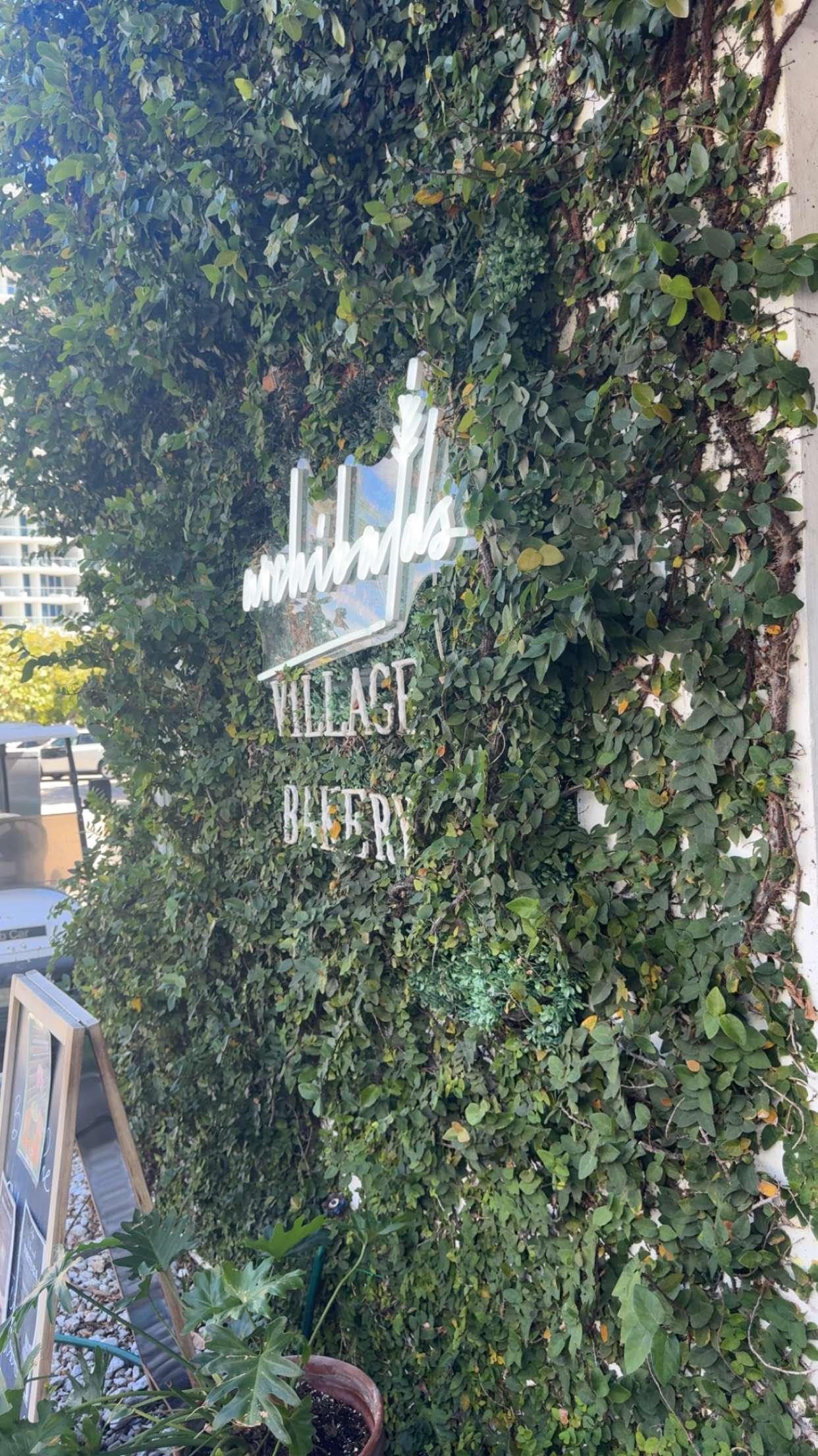 bellarenaldii snapchat image archive image