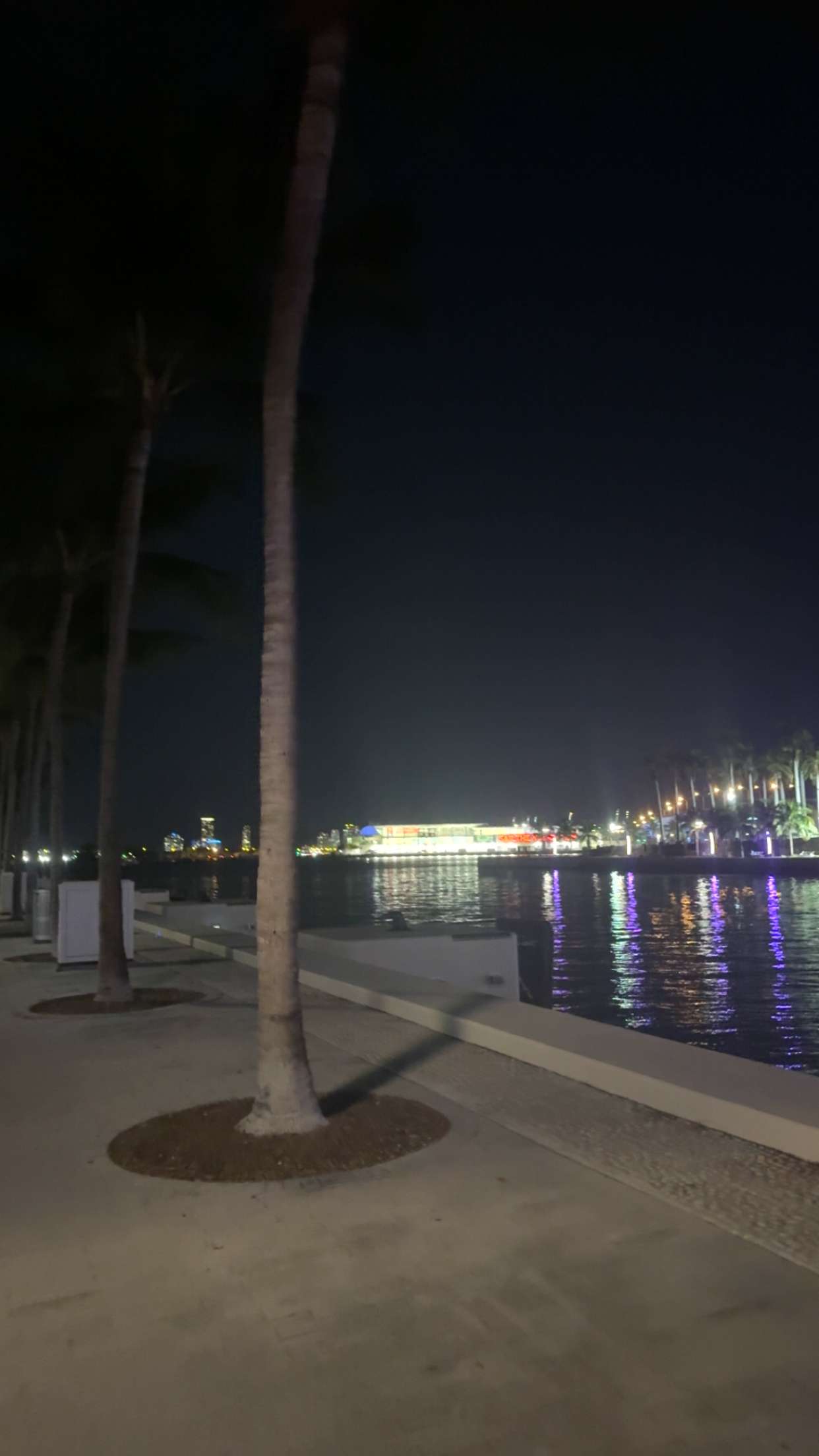 bellarenaldii snapchat image archive image