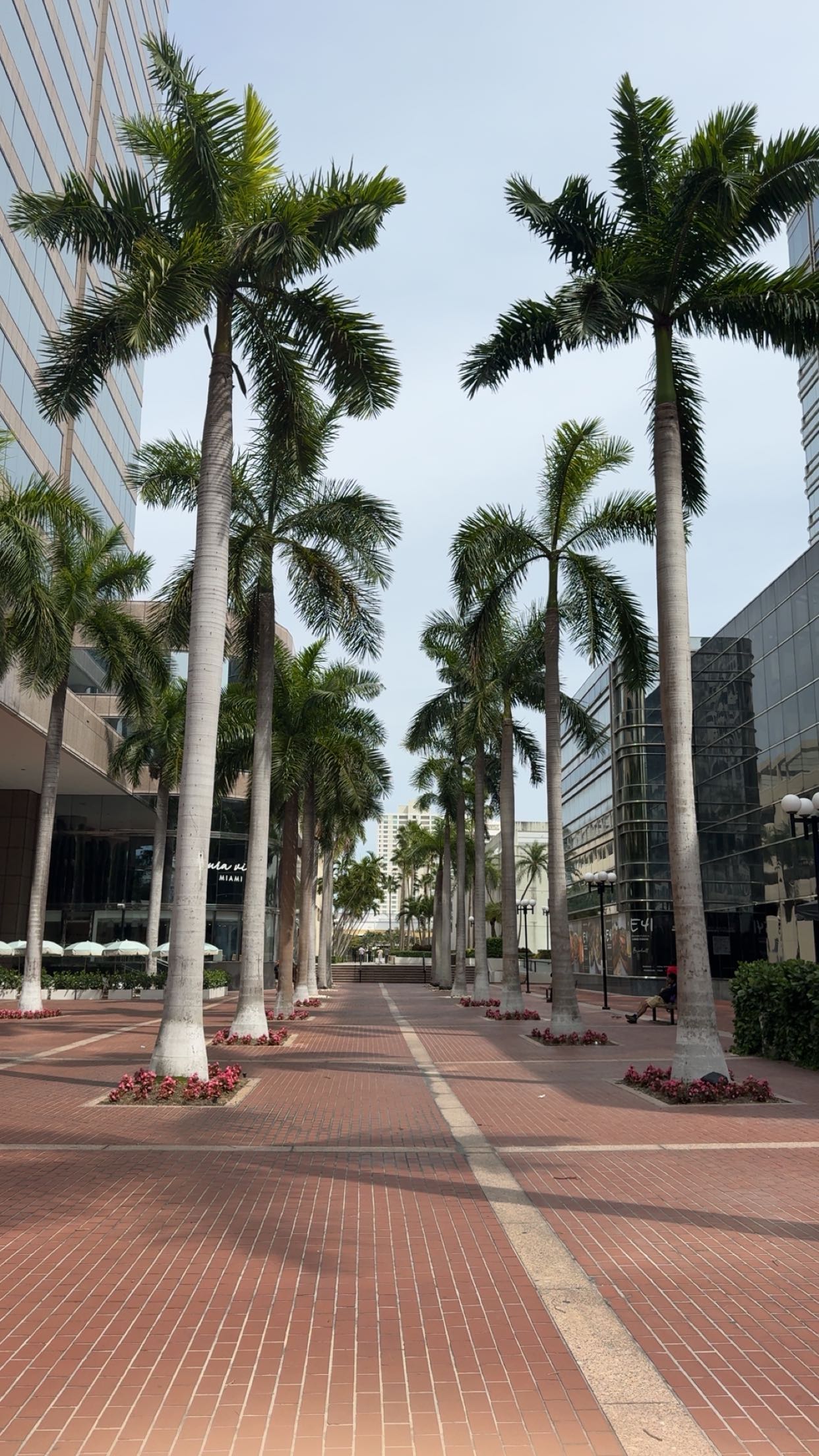 bellarenaldii snapchat image archive image